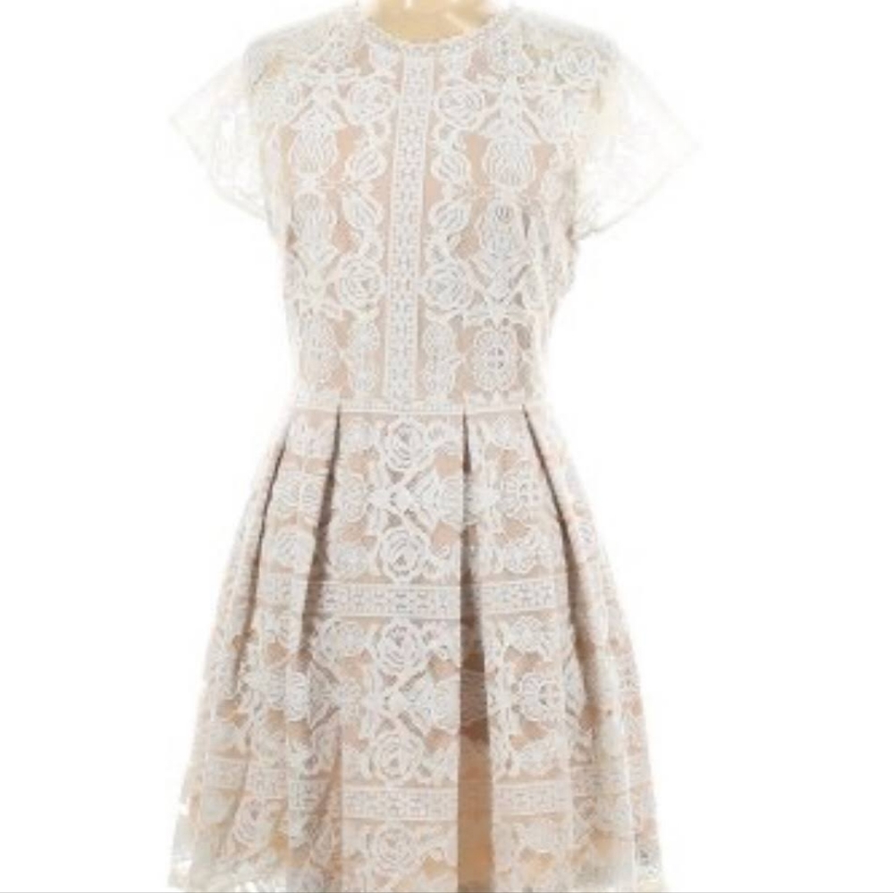 Francesca's Lace Dress
